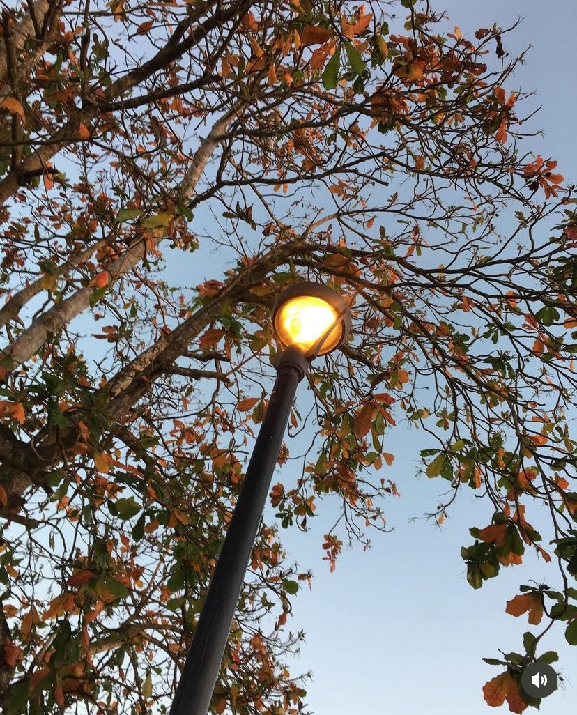 vainillear's tweet photo. autumn girl https://t.co/m8nPEwSm0B