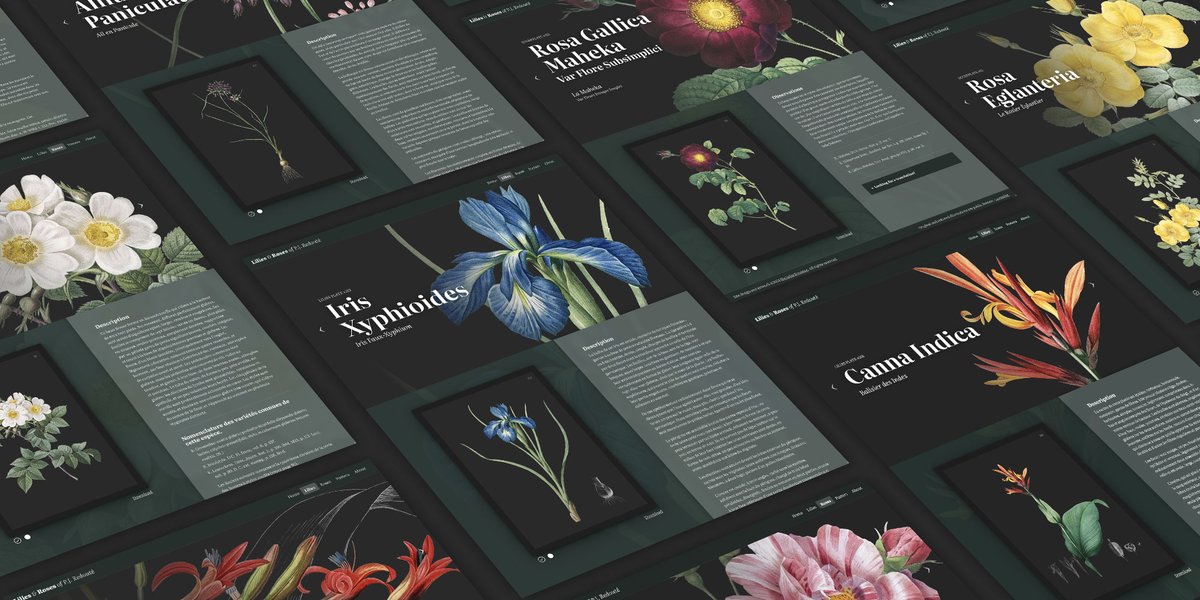 Nicholas Rougeux tweet media