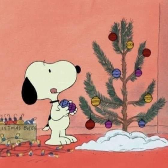 Apenas es 3 de noviembre 
Yo: