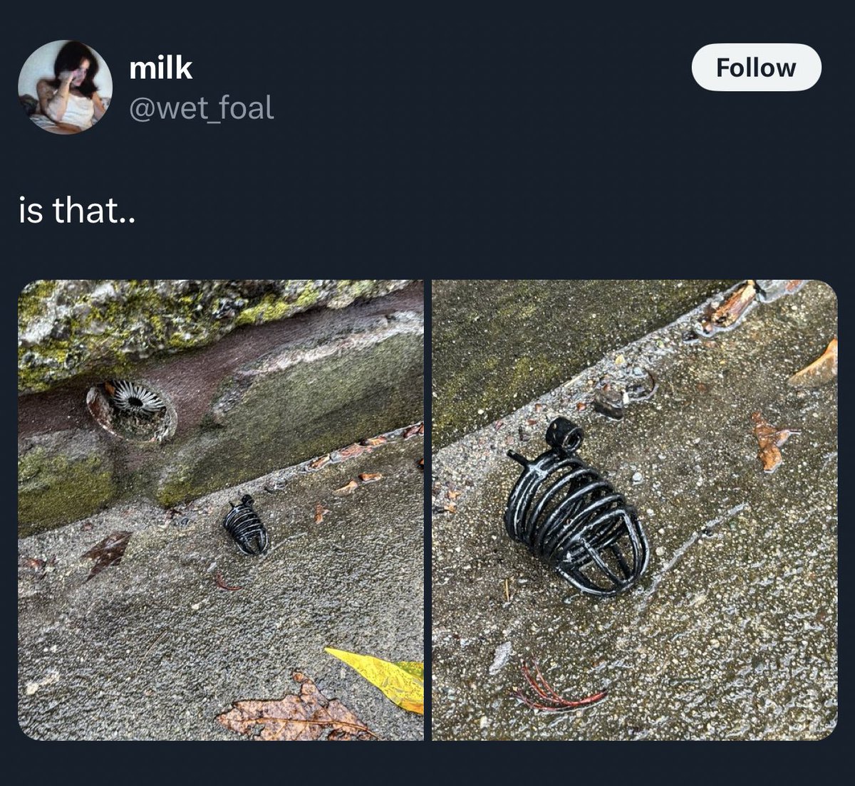 SoCharlie tweet media