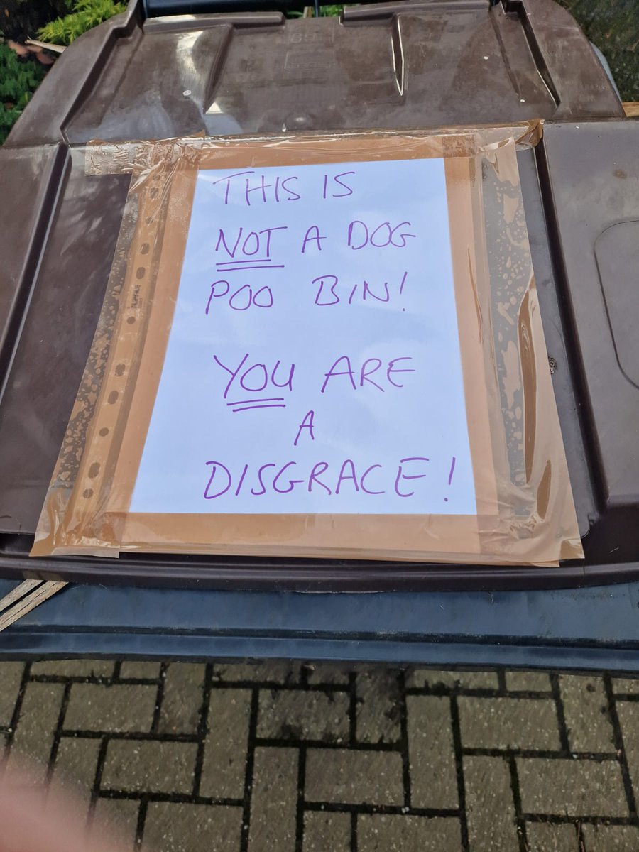 Noticed this locally 😂