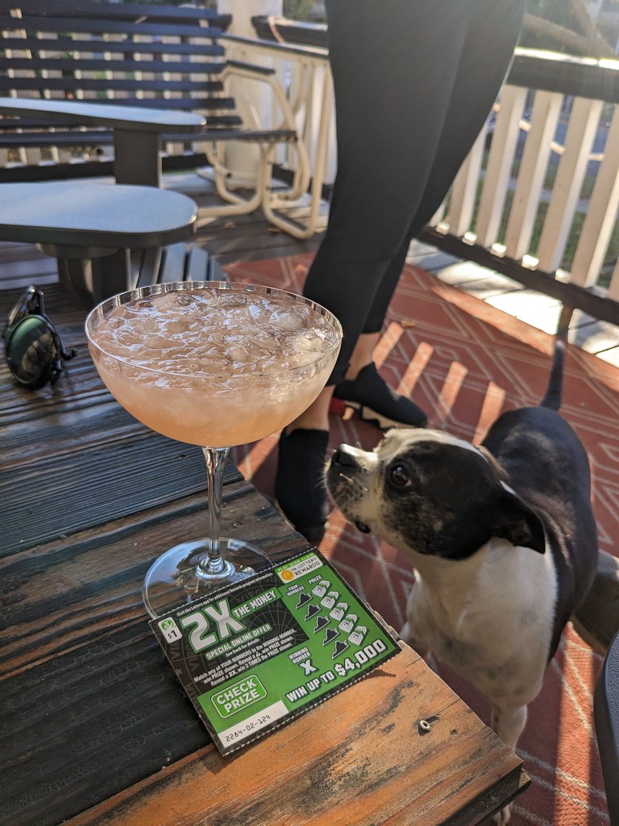 Maria Carra Rose tweet media