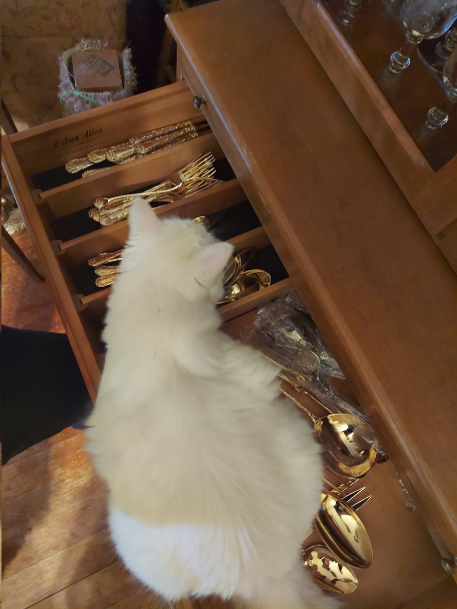 Babette 💟 tweet media