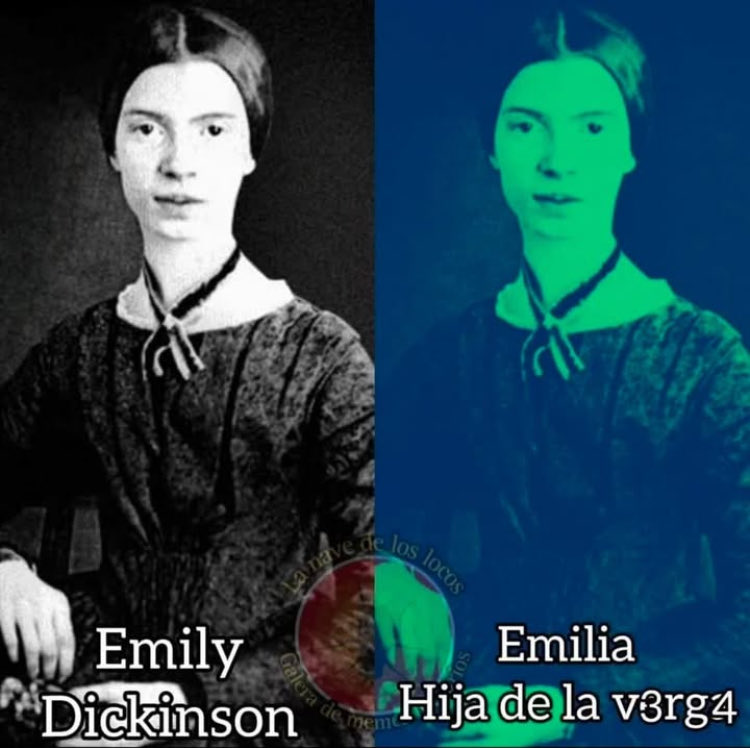 Vaya Vaya Tacubaya (@vayavayatacuba) on Twitter photo 