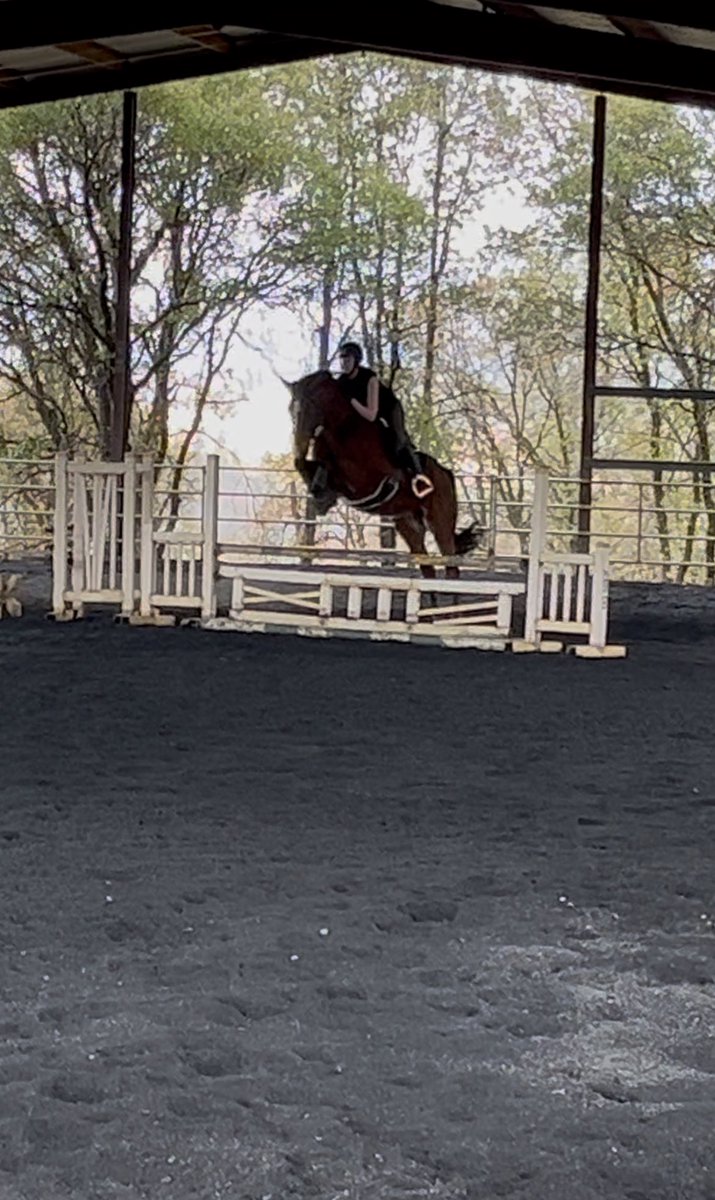 ughmikaila's tweet photo. It’s been so long since I’ve jumped this big. He takes such good care of me https://t.co/bDoAfKGGM5