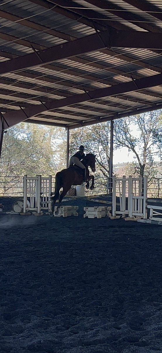 ughmikaila's tweet photo. It’s been so long since I’ve jumped this big. He takes such good care of me https://t.co/bDoAfKGGM5