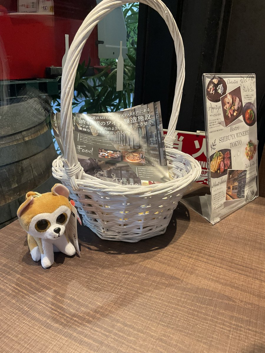 LOVEHachi3's tweet photo. 昨日の渋谷
ミヤシタパーク3F
渋谷ワイナリー東京
ハチ公ラベルのワインがあって、秋田犬ロイ君がいるんだよ
お酒飲めなくても、お料理美味しいからランチにもいいよ
私も飲めない😅
#ミヤシタパーク #SCRAMBLECROSS #秋田犬 #tyjapan #ワイナリー shibuya #ハチ公 #HACHI100 https://t.co/VG1hKGDRUJ