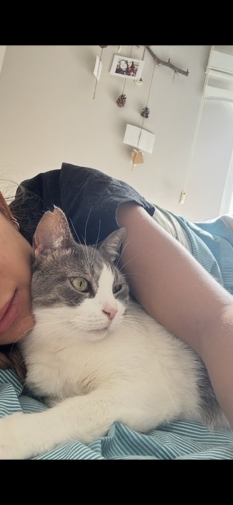 Seven kedi bu hayatta cenneti yaşatır