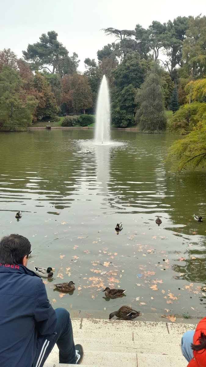 Amu_Peter86's tweet photo. Historical part of Madrid 🇪🇦.
Parque Retiro 🌲🌳.
.
#madrid #españa #HalaMadrid #parqueretiro https://t.co/3rOkpiCp7P