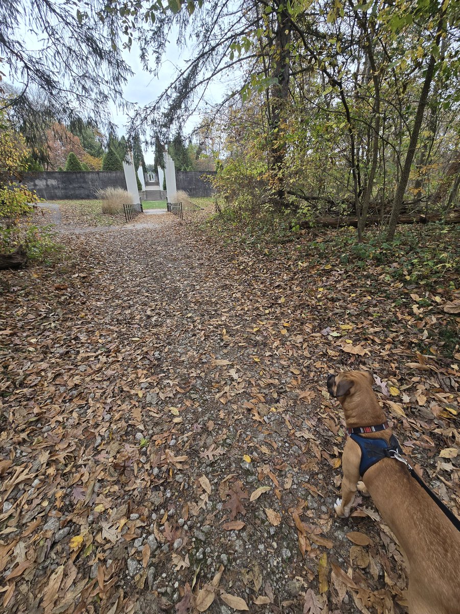 Tommy (@tommybradio1) on Twitter photo 