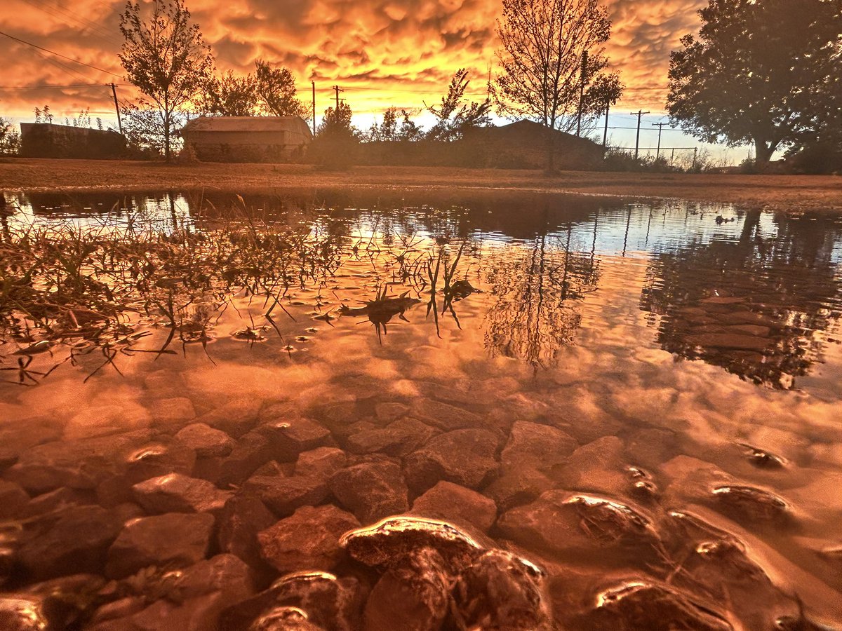 Mammatus sunset 
📸: Samantha Smethurst, #OKC
11.3.24

#okwx #oklahoma #weather #storms #sunset #goldenhour