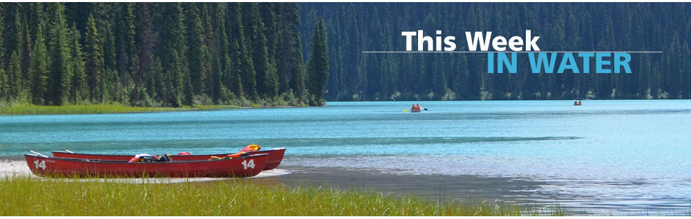 Ratting Out Traffickers. That story and more in the current newscast of “This Week in #Water” from H2O     Radio> bit.ly/3CzL6tn