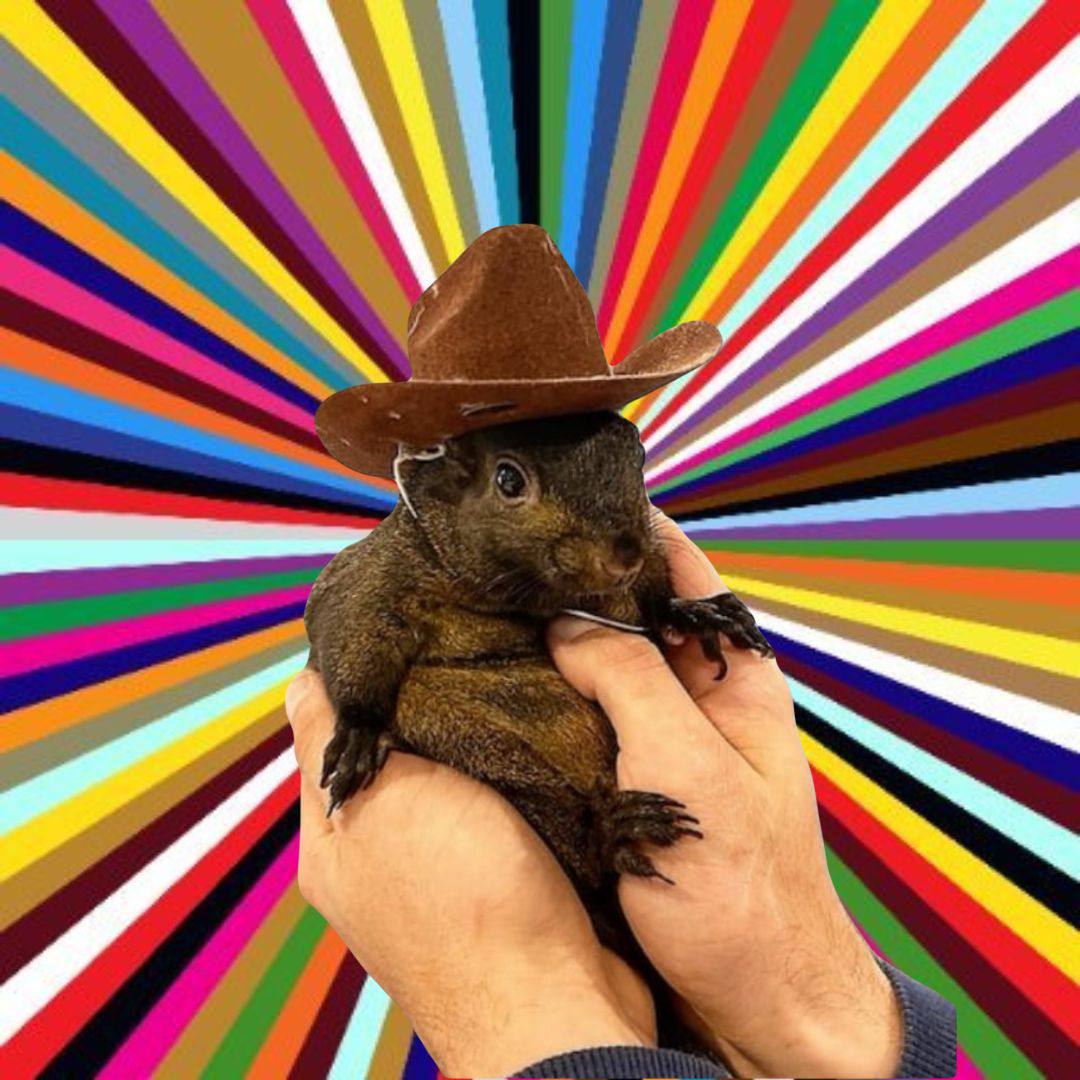 xmbonsol's tweet photo. @RoaringKitty $Peanut is here to stay forever.. Just like Harambe

bGxHNbsacaVL35pkYWae5PYQDZXSpuQb3QDyW31pump

OG deployed 16 days before the cabal. https://t.co/7FBL2MJLyf