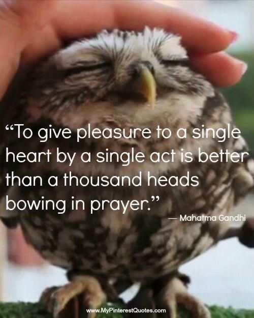 To give pleasure to a single heart by a single act
Is better than a thousand heads bowing in prayer.

Mahatma Gandhi