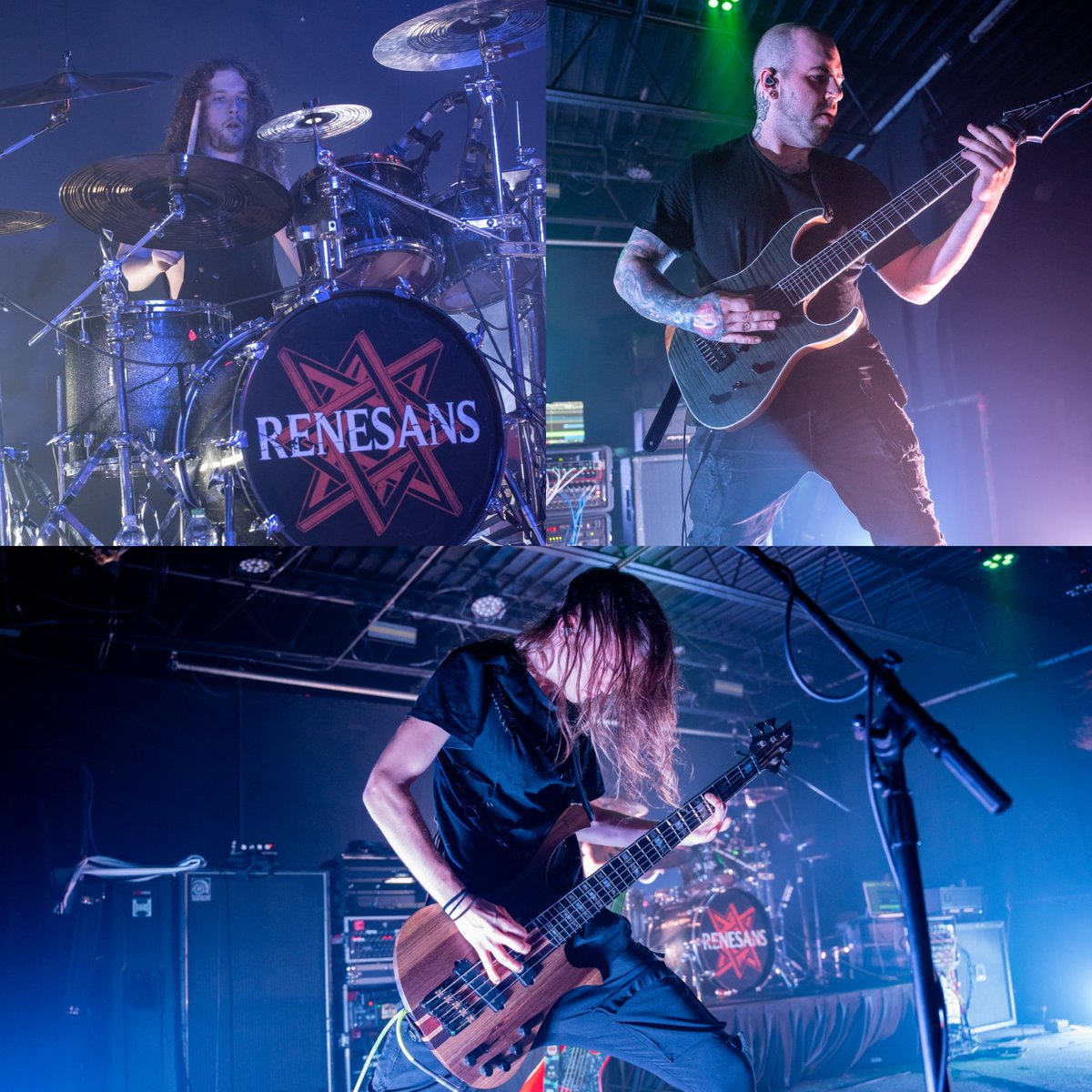 Dead Noise tweet media