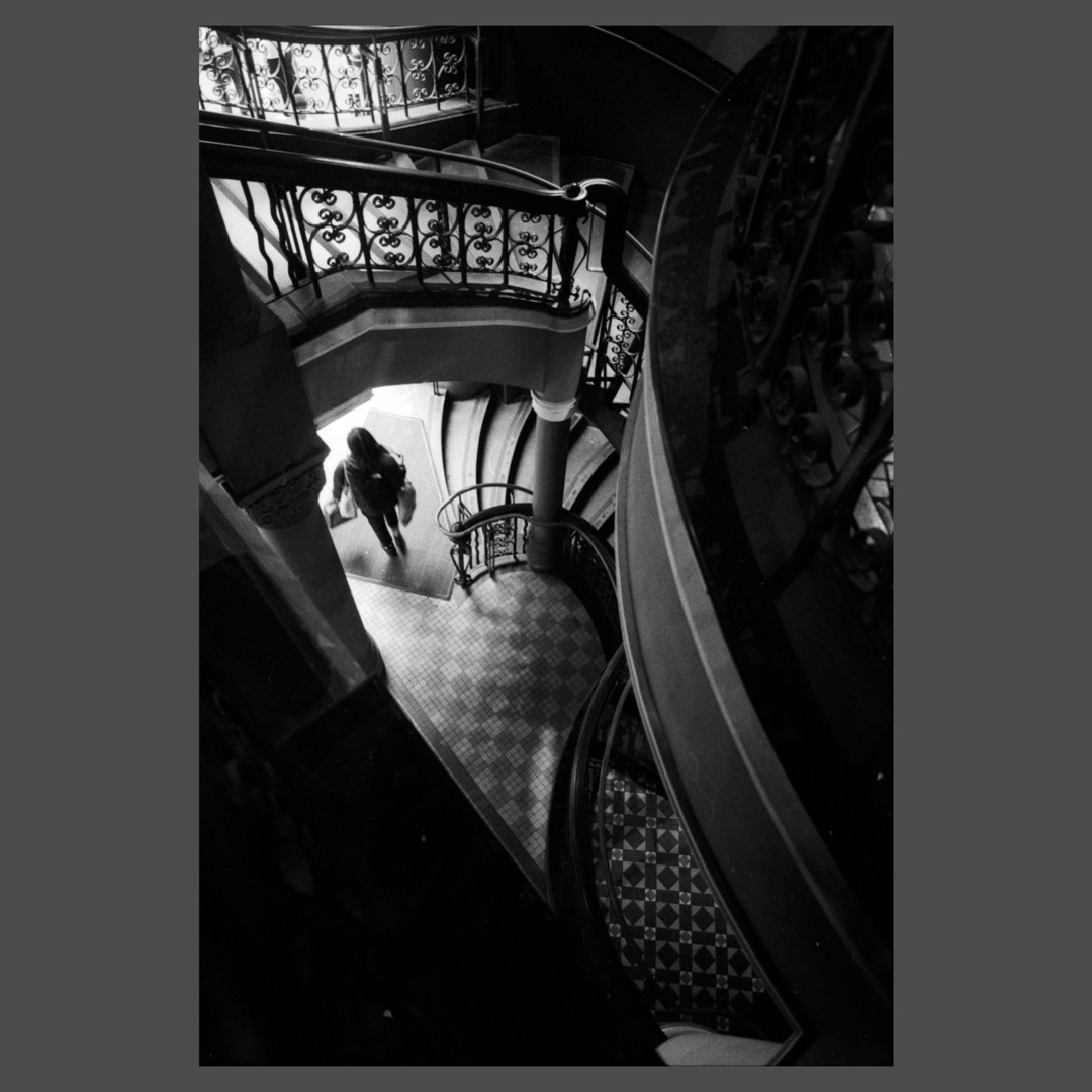 jmibanez's tweet image. Sydney — October 2024

#streetphotography #canonp #rangefinder #35mm #35mmfilm #ilfordhp5plus #ilfordhp5 #hp5plus1600 #filmisnotdead
#staybrokeshootfilm
#restorefrombackup
#streetphotographymnl instagr.am/p/DB7bDLUznqy/