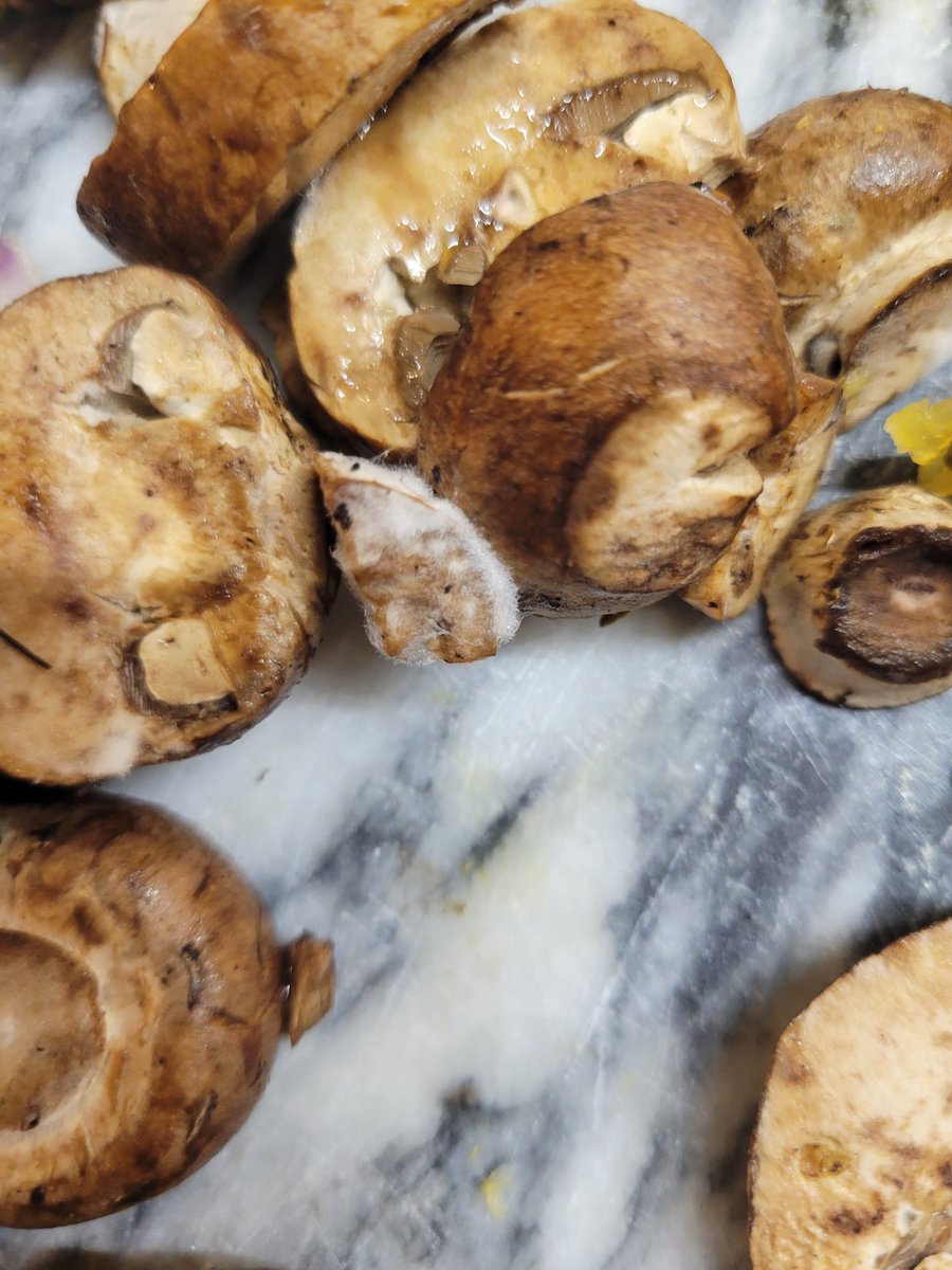 Witold Henisz tweet media