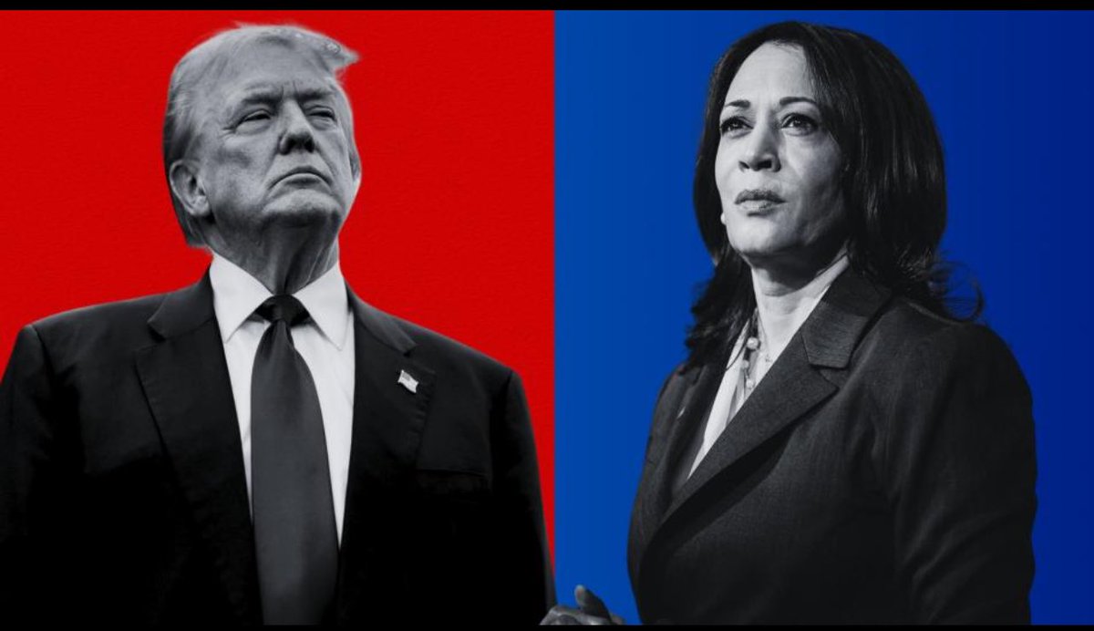 A Ver Gente Tuitera. ¿Quién Ganará 
La Presidencia en Los Estados Unidos??

Donald Trump              Kamala Harris 

     Me Gusta.                            RT