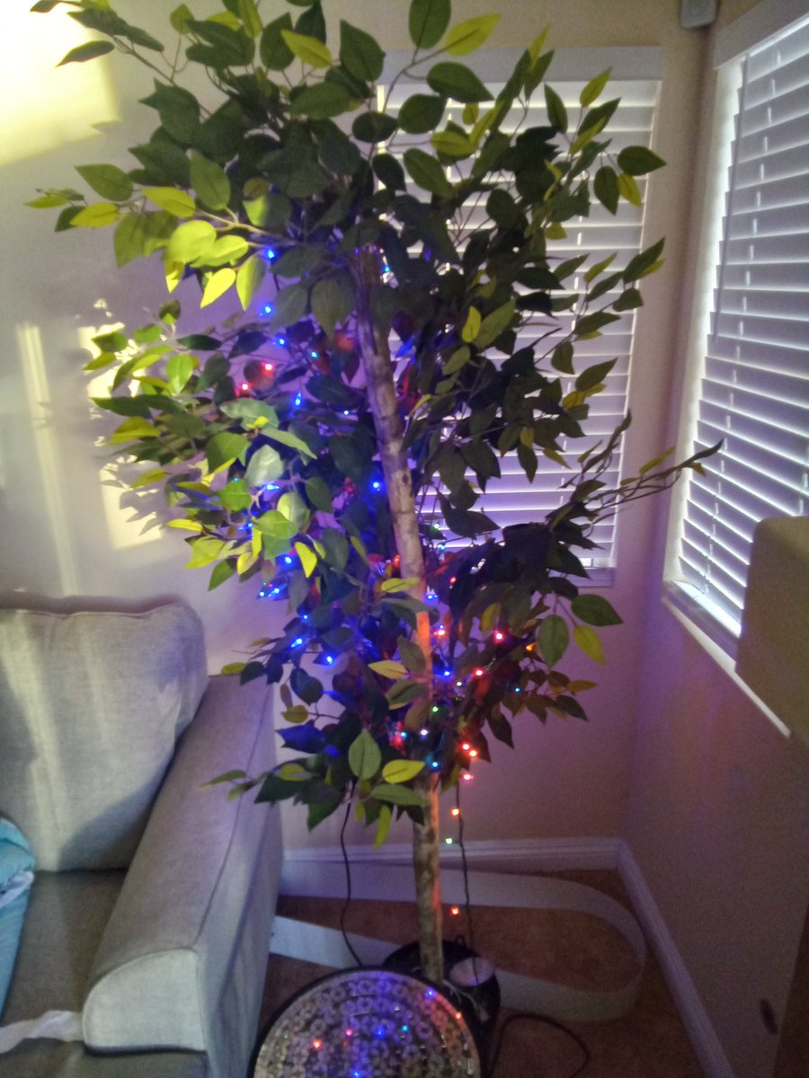 TraderChatPro's tweet image. MERRY CHRISTMAS 53 DAYS EARLY 

FROM TRADERCHAT

RING IN THE NEW YEAR WITH US 

#TRADERCHAT 

HAD A 2 HOUR ZOOM CALL WITH A #G7FX TRADER MONTHS A GO

HOPE YOURE CRUSHING IT