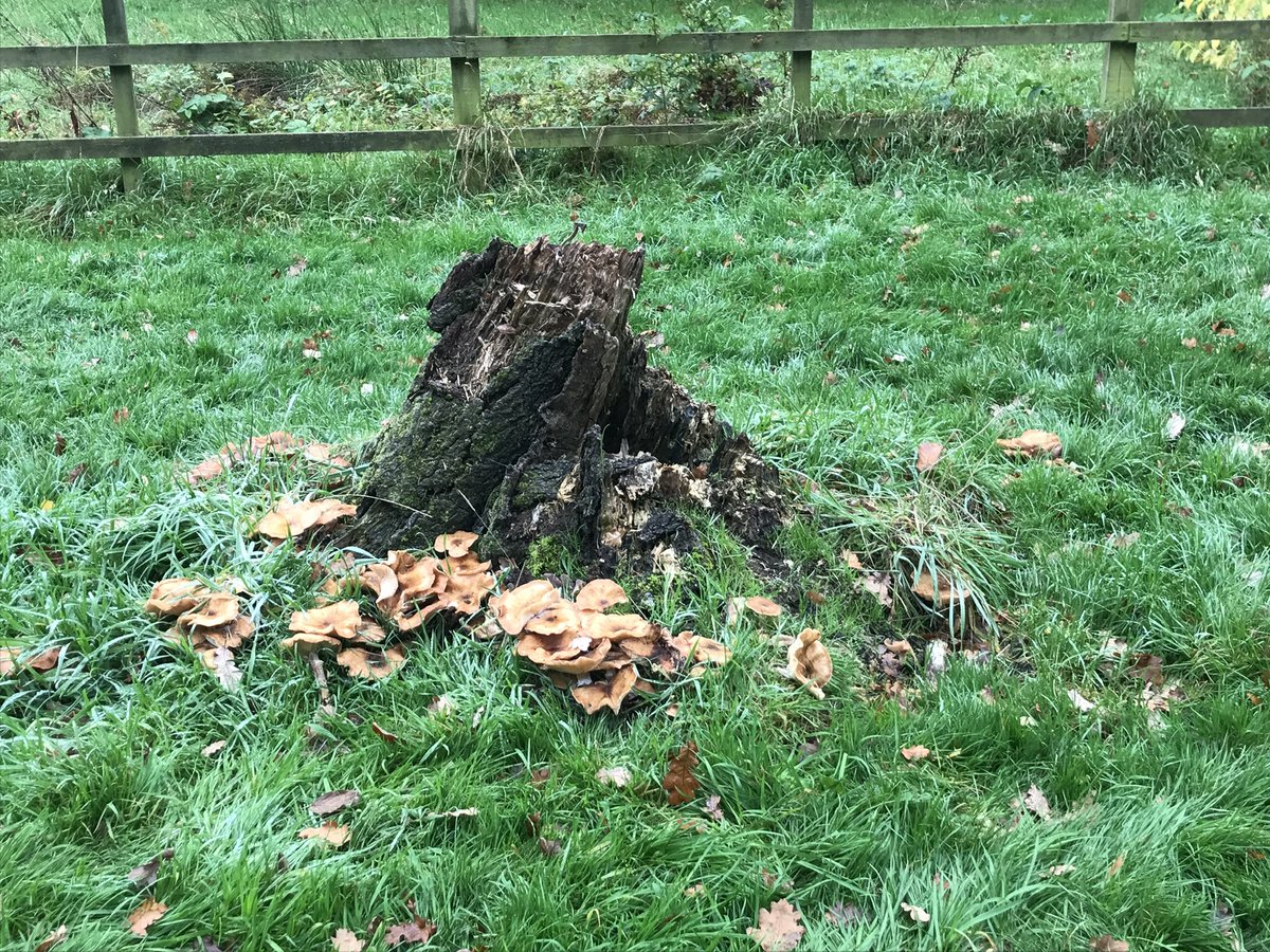 Hannah Luff tweet media