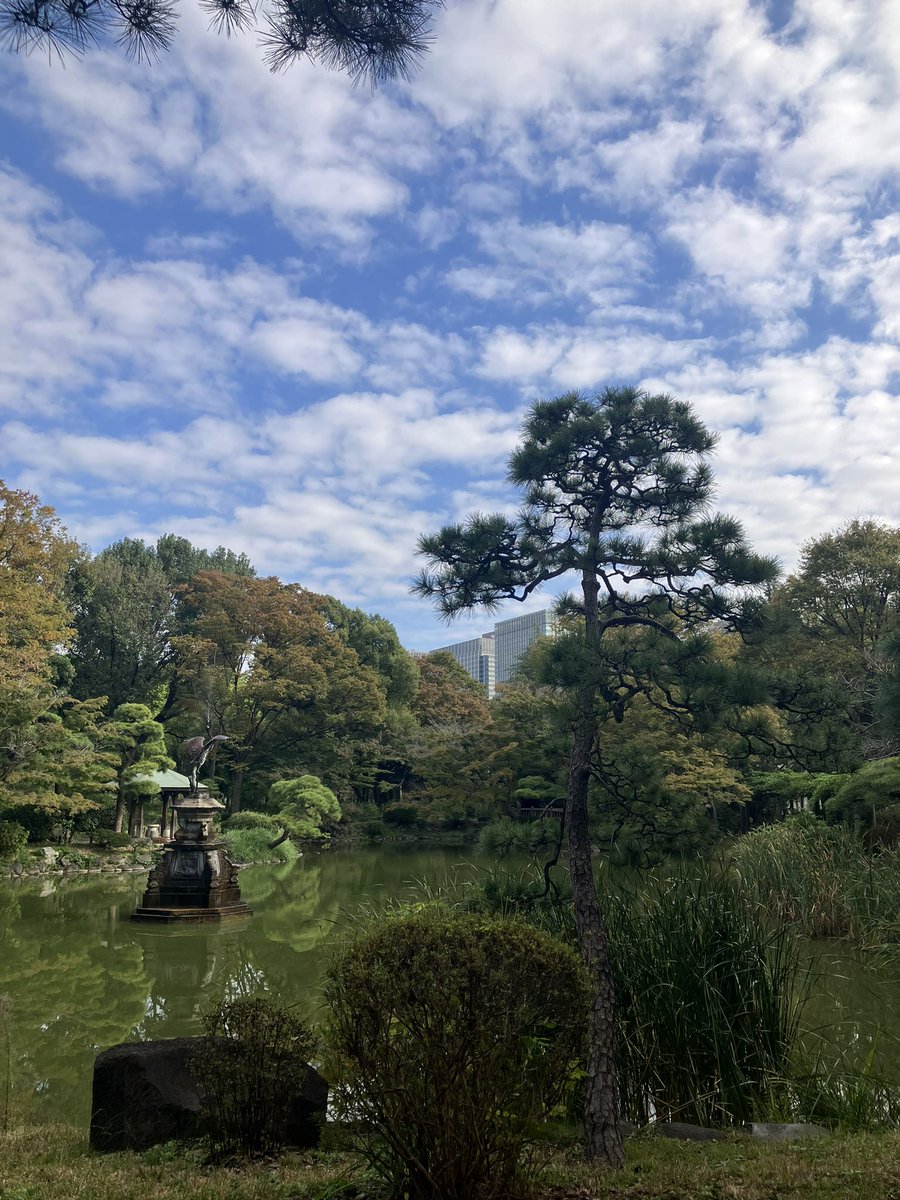 KinariTabi's tweet photo. Mon. Nov.4,2024

3連休の最終日
早起きしてパークヨガ

雲が綺麗 https://t.co/FBsnWYLa0R