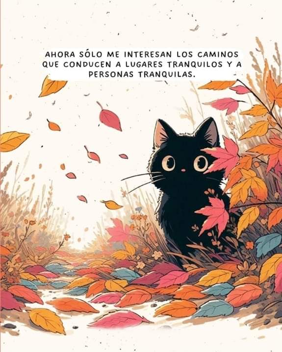 terapia_ahora's tweet photo. 🧘‍♀️ https://t.co/qq8HkYxuE7