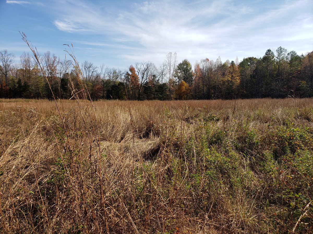 Marc A. Milne tweet media