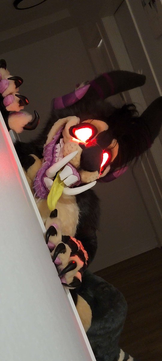 ZombunnyC's tweet photo. Introducing Happy Hops, made by the absolutely wonderful and stunning @Beautyofthebass !! I just cant contain how happy he makes me and he is just perfect!! I'm so excited to bring this beast out!! He's one insane rabbit 💜💛💜 https://t.co/VkI4LqZYPx