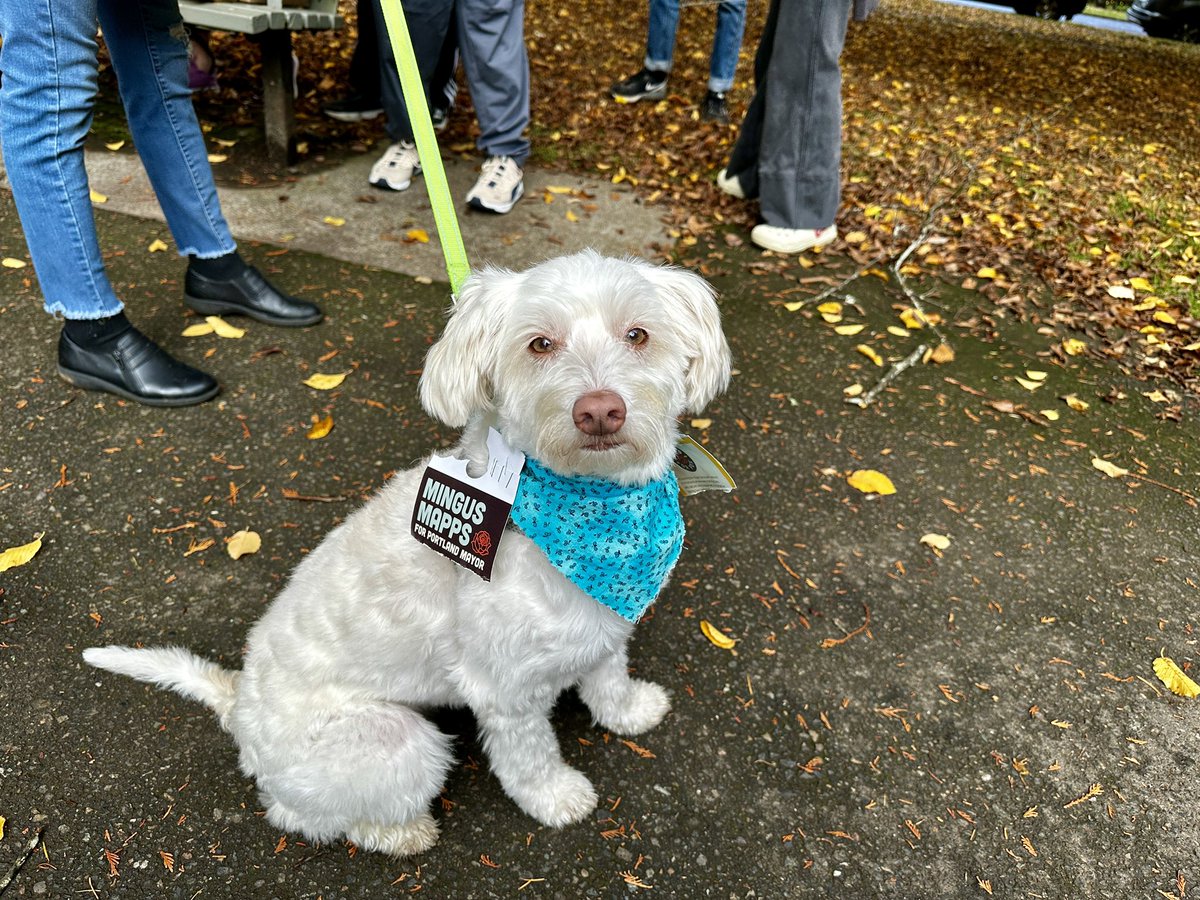 Mingus Mapps tweet media