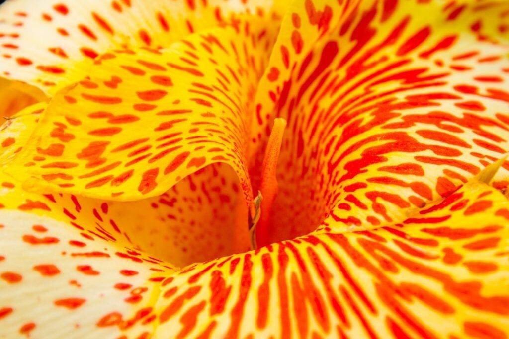 ★ Carola Broaddus ★ (@samaplady) on Twitter photo Good Afternoon Friends! Hope you have a Blessed,Healthy Sunday!
#Sunday
#SundayFunday
#HappySunday
#begolden Good Afternoon Friends! Hope you have a Blessed,Healthy Sunday!
#Sunday
#SundayFunday
#HappySunday
#begolden