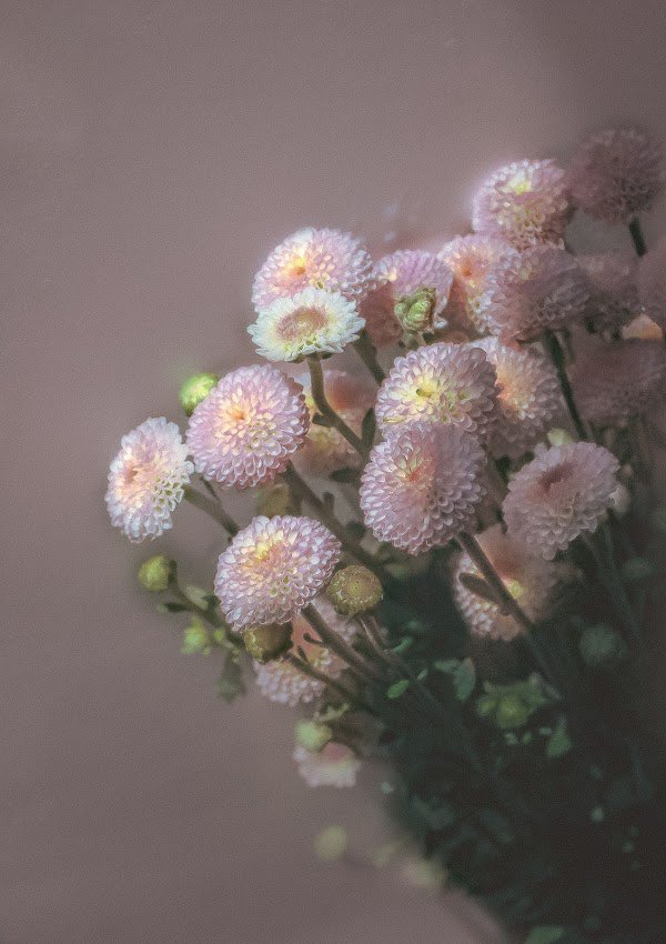 ✨MAY✨ (@naibovisuals) on Twitter photo GM Frens!
Seek peace and purse it…
🫶🏾🕊️🫶🏾 GM Frens!
Seek peace and purse it…
🫶🏾🕊️🫶🏾