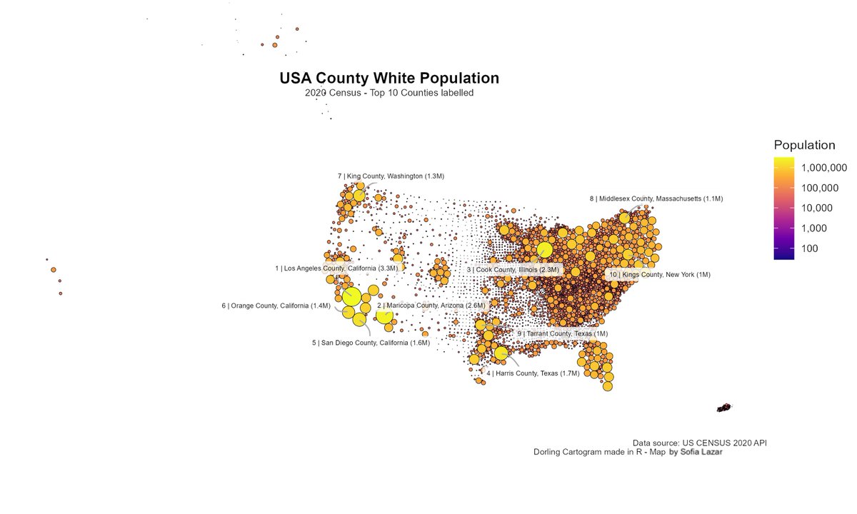 LAZARSofia1's tweet photo. π₯ Wow @Julian_H0ffmann, that tutorial was π₯!
Just mapped out the #White and #Black & #African population in the πΊπΈ USA! πΊοΈ
What do you all think? π§ Should I go for #Asian π¨π³π―π΅ and #Latino π²π½π¨πΊ next? ππ₯
#DataViz #PopulationCartogram #MappingMagic #USA #Diversity #R #race https://t.co/uvP0By2K16