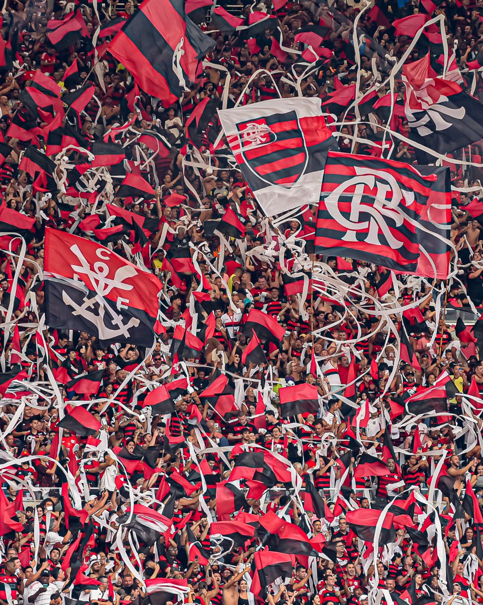 You never fail to amaze me, Nação 😍