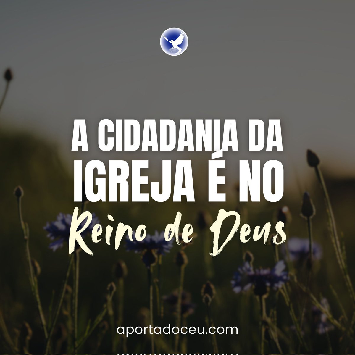 ArrependaseSC tweet picture