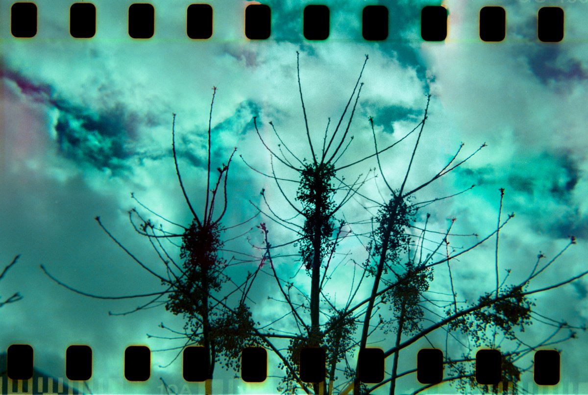 antonis_t_'s tweet photo. Analogue / Camera Holga 120 GCFN/  35mm moded  film 400, printed with frame
@objktcom
OPEN EDITION 0.9 Tezos
Get it here:  https://t.co/ncJ1RoMxVx

#tezos #TezosArts #tezoscollector #tezosCummunity #NFTCommunity #objktnft #nftcollector #nftart #NFTsale #nftphotography #TNFT #NFT #photography #analoguephotography #objkt #objktcom #onfilm #analogue #NFTPhotographer #openesition  #holgacamera