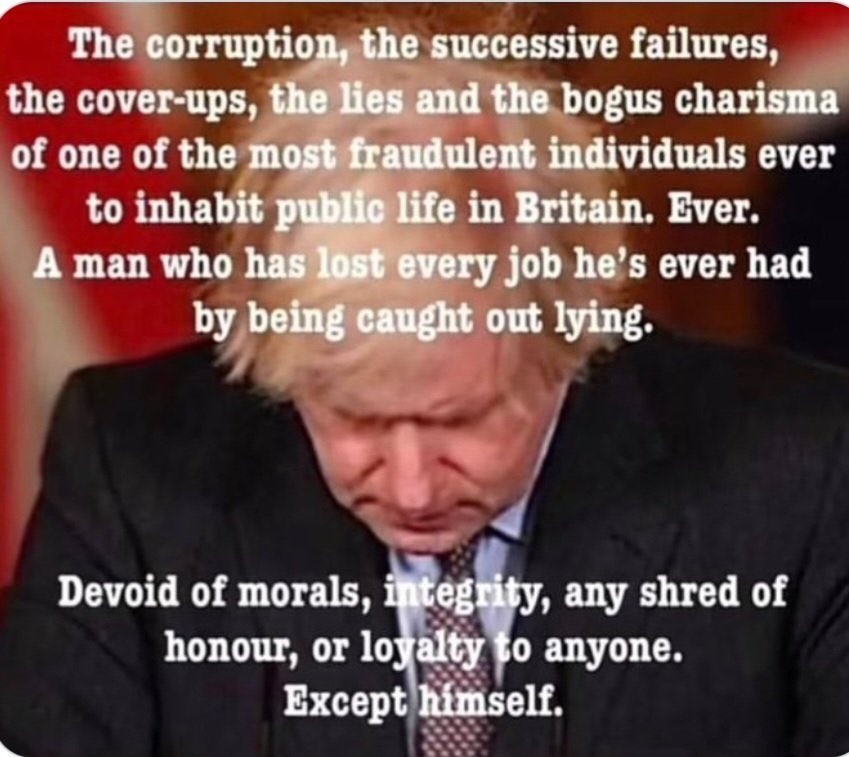 Lettie44's tweet photo. @Piotr742499 @doctor_oxford @JulieW042 Never forgive - never forget #ToryCorruption #ToryLies #toryIncompetence #ToryFraud https://t.co/ioh1utyk5a