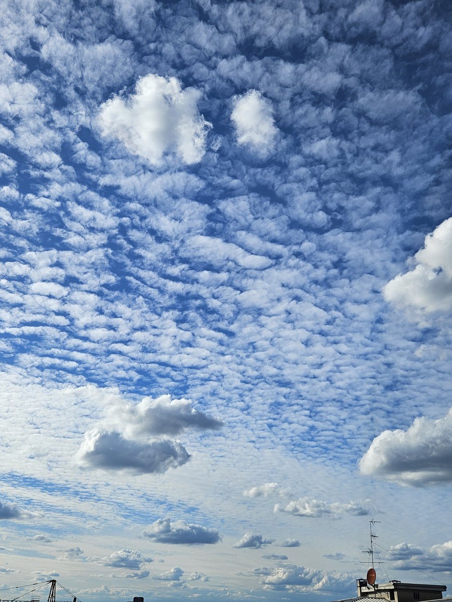 GianfrancoCat's tweet image. Anche la sua assenza è  una cosa che sta con me.
#penso