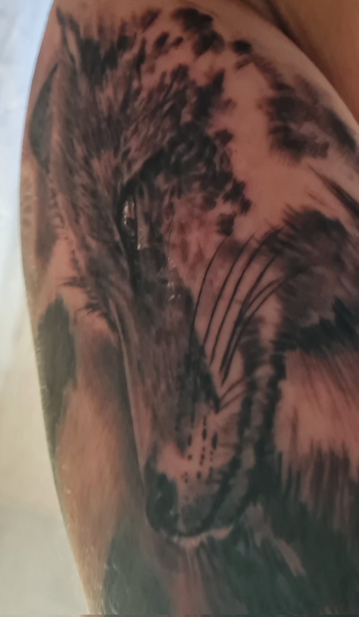 Georgia French 🐀 tweet media