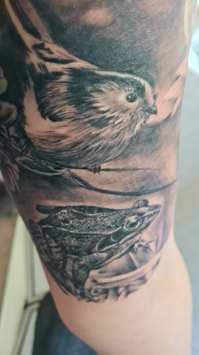 Georgia French 🐀 tweet media