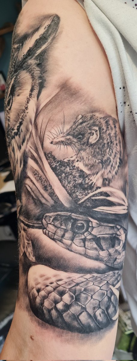 Georgia French 🐀 tweet media