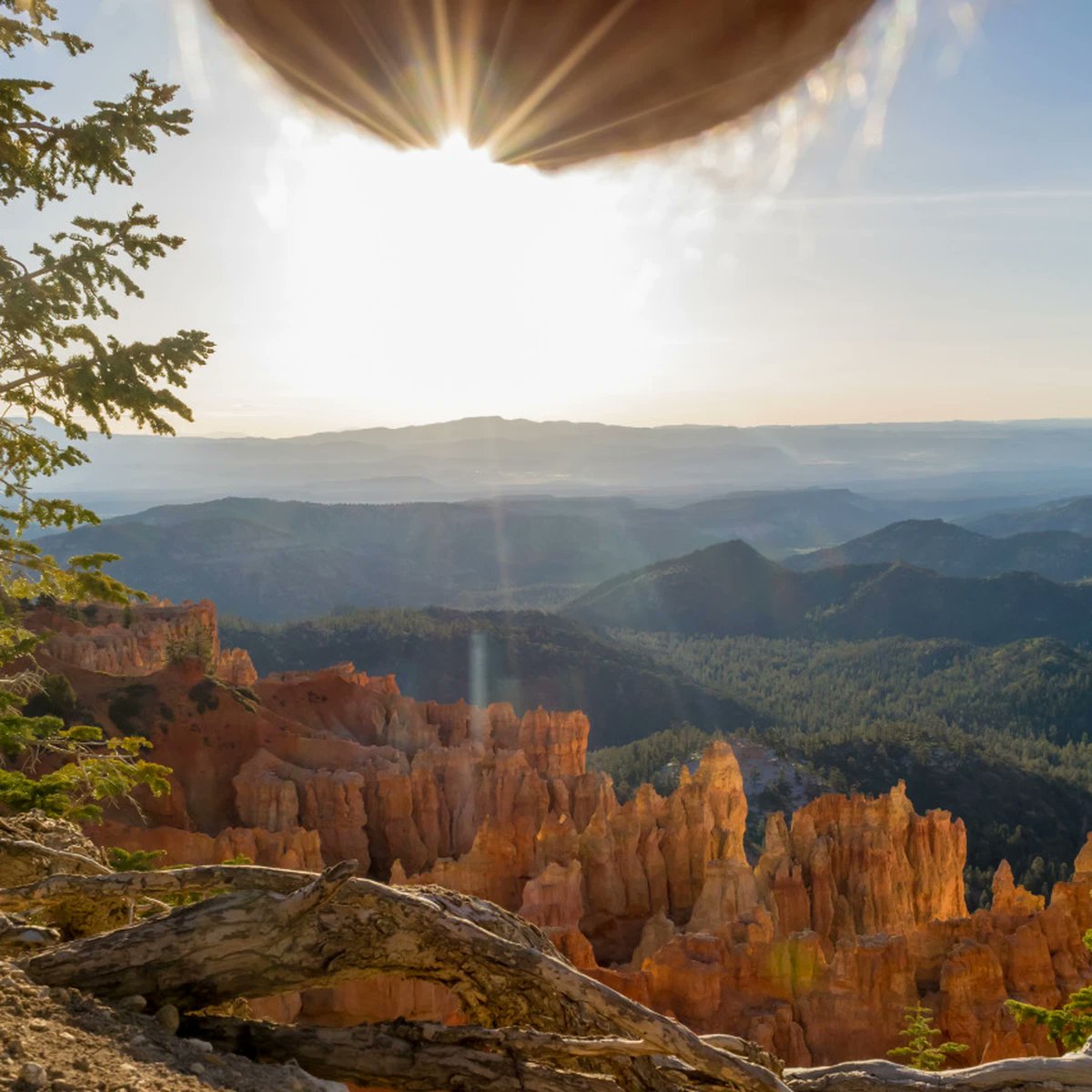 bompfer's tweet image. Urlaubsgrüße.