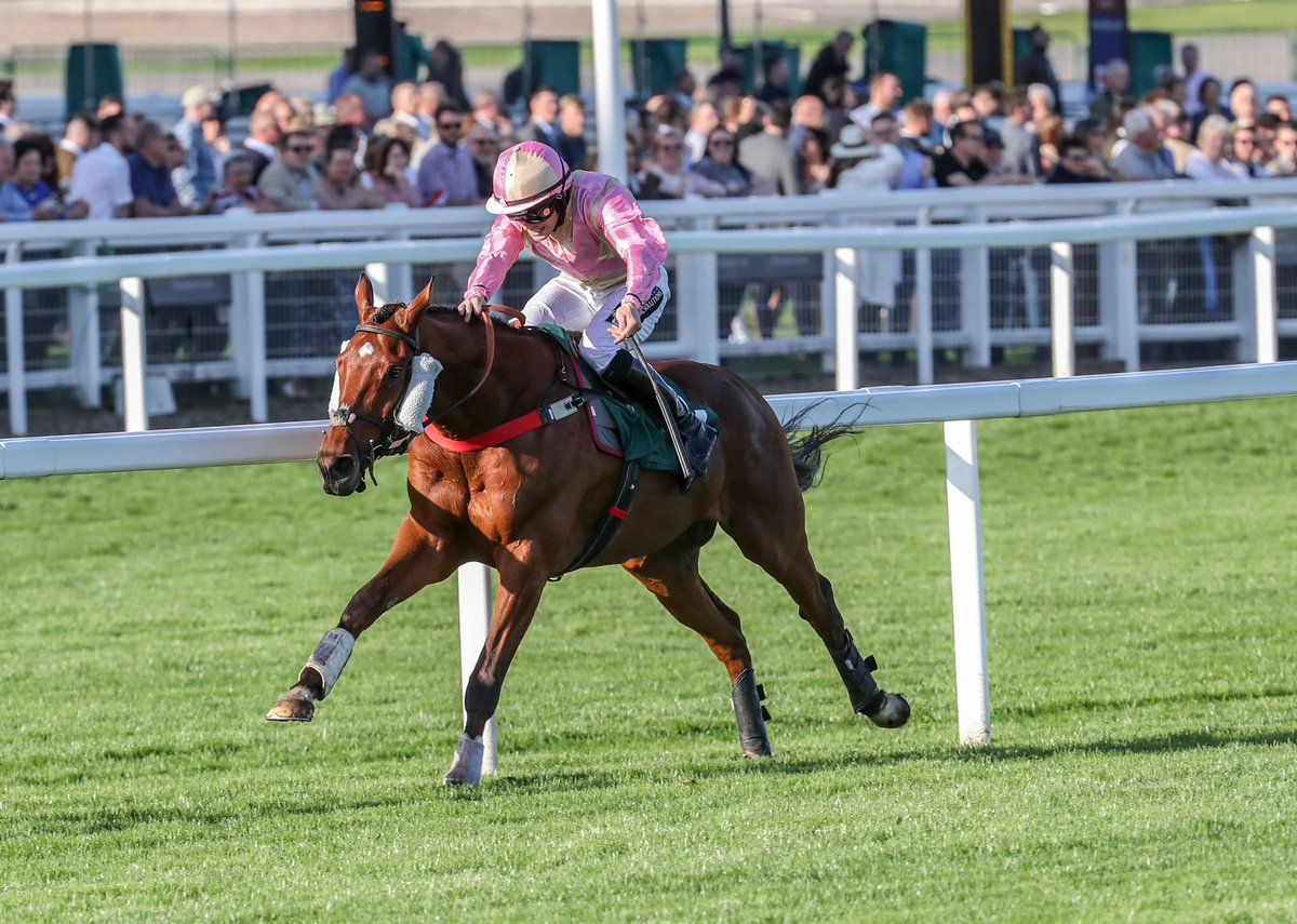 Richard Patrick tweet media