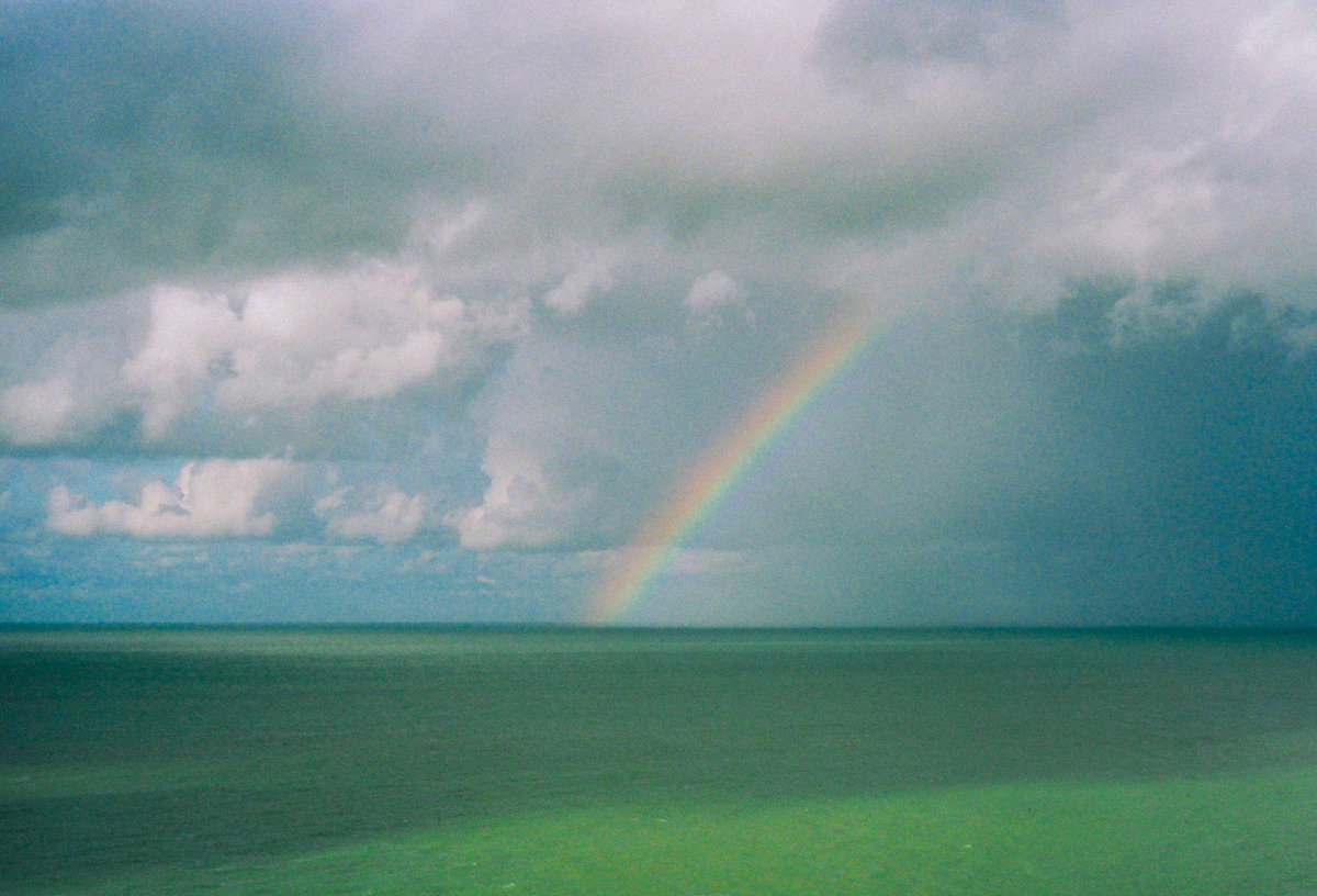 J’avais pas vu que ça continuait !! Youpi 🎉 j’ai pas de barbe à papa donc on passe à 33-Novembre (prise en novembre dernier)
 #31themesanalogchallenge