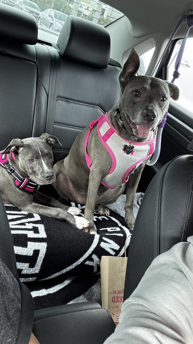 jocowansss's tweet photo. Girls day with my babies🥲🫶🏻 https://t.co/MQduZMDcf0