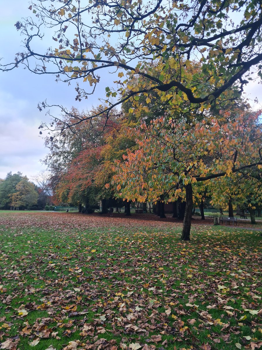 🍂 Autumn colours are pretty magical 🥰 #autumnphotography #AutumnBeauty