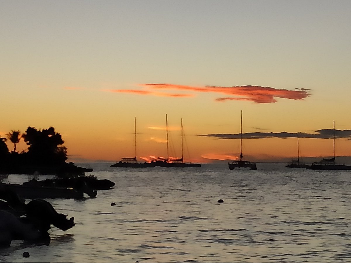 Dr. Johnson K. Jacob tweet media