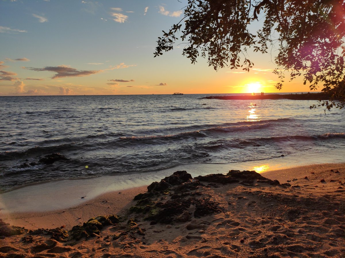 Dr. Johnson K. Jacob tweet media