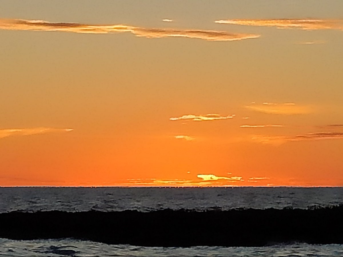 Dr. Johnson K. Jacob tweet media