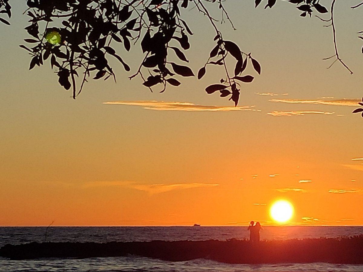 Dr. Johnson K. Jacob tweet media