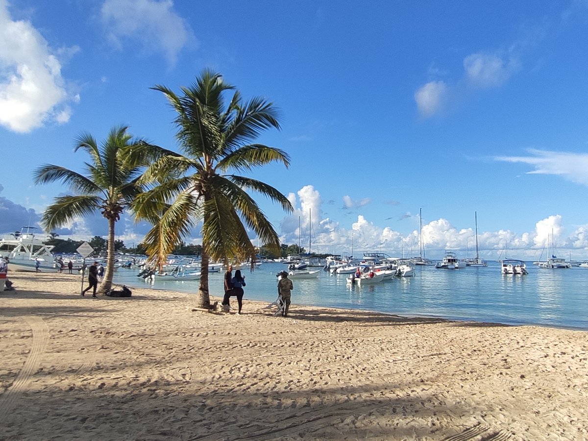 Dr. Johnson K. Jacob tweet media